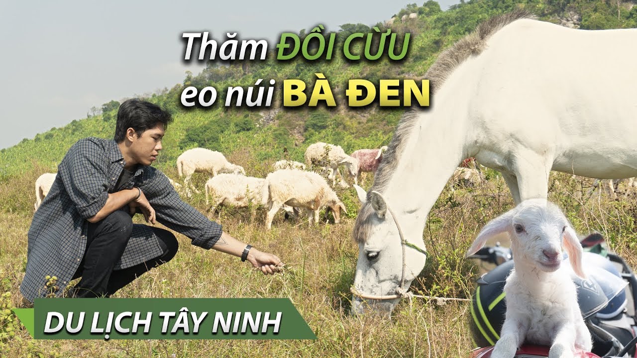 Tây Ninh về miền đất thánh - những điểm checkin mới lạ hấp dẫn nhất