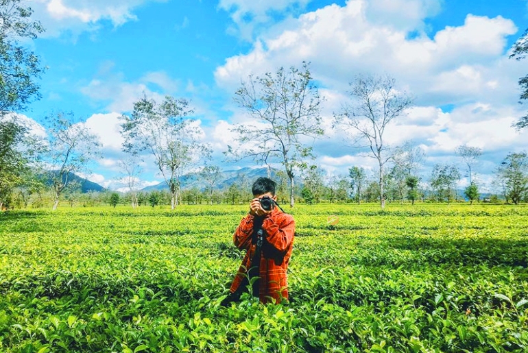 Biển hồ chè - Con đường Hàn Quốc lãng mạn nhất Gia Lai