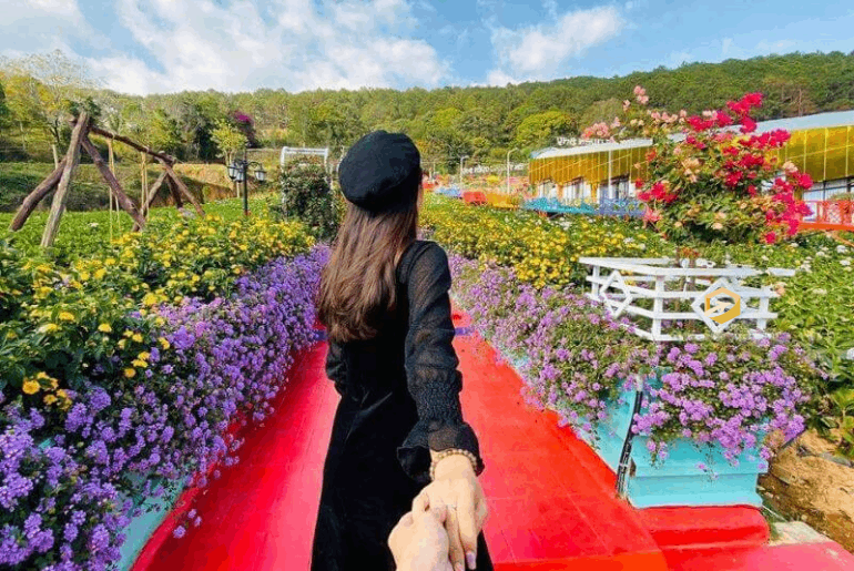 Vườn Thượng Uyển Bay - Khu vườn rực rỡ sắc màu tại Đà Lạt