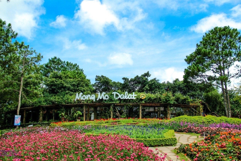 Đồi Mộng Mơ Đà Lạt địa điểm check-in không thể bỏ qua khi đến Đà Lạt