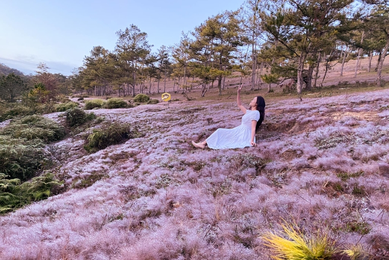 Thung lũng vàng là thung lũng đẹp nhất Đà Lạt