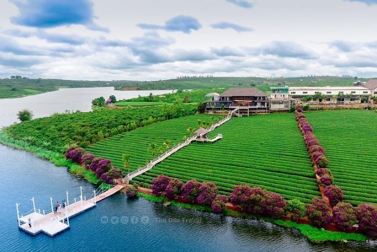 Những Lưu Ý Khi Đi Du Lịch Lâm Đồng Để Có Trải Nghiệm Đang Nhớ