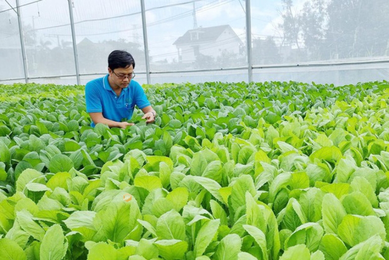 Tour Học Sinh Vườn Rau Tuấn Ngọc – Bảo Tàng Áo Dài 1 Ngày