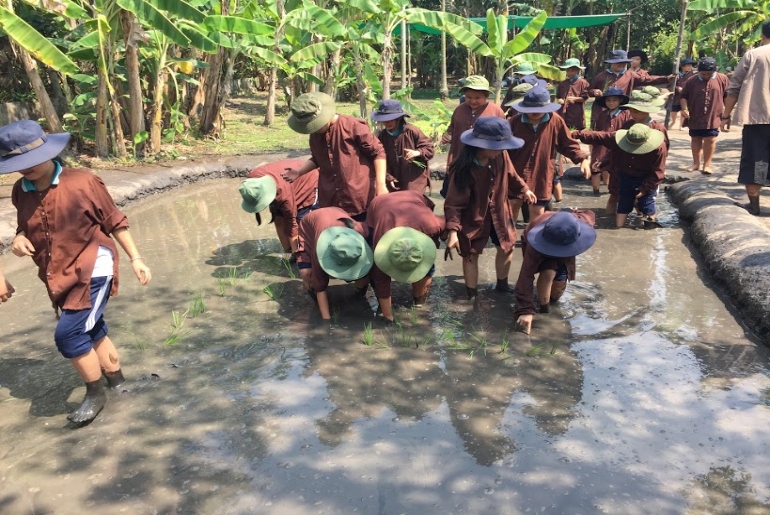 Tour Học Sinh Một Ngày Làm Nông Dân Tại Nông Trại Tree 1 Ngày