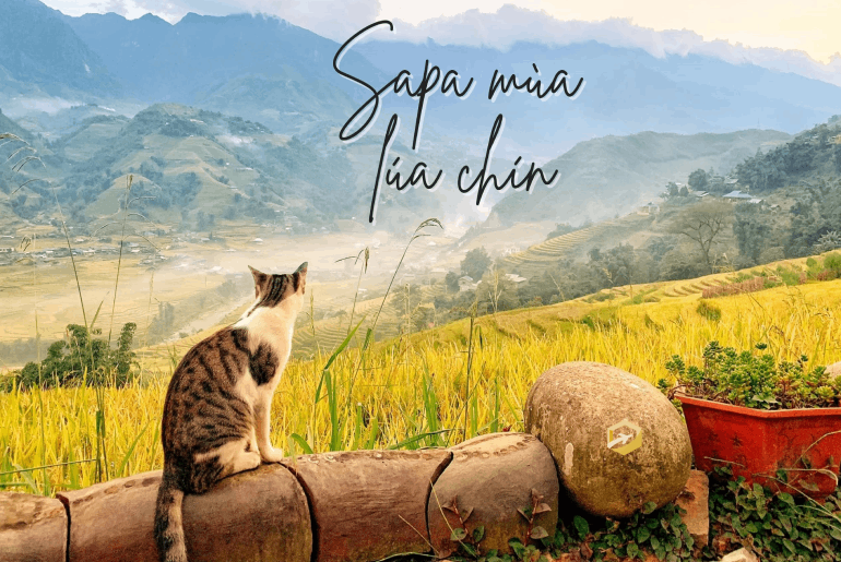 Tour Du lịch Hà Nội - Ninh Bình - Hạ Long - Yên Tử - SaPa 6N5Đ Lễ Tết