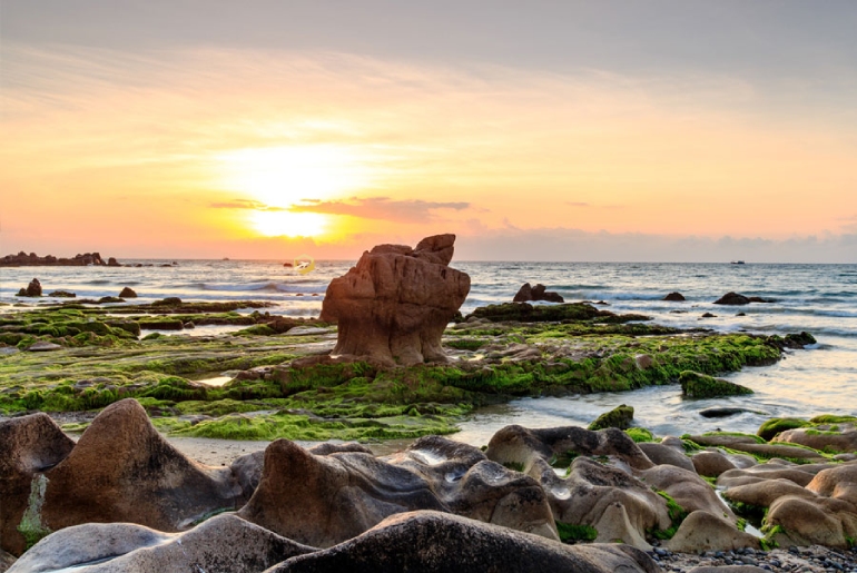 Tour du lịch Tanyoli - Đồi Cát Nam Cương - Biển Cổ Thạch 2 ngày 1 đêm