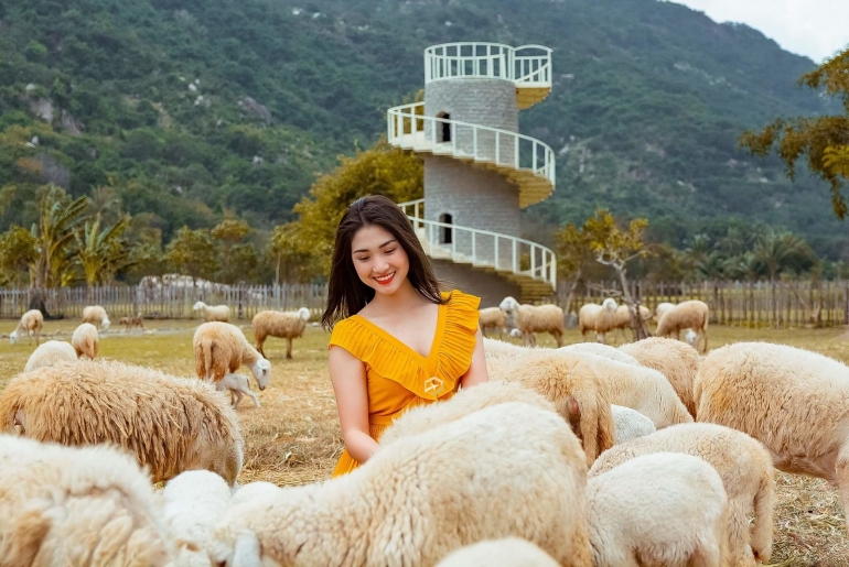 Tour du lịch Tanyoli - Đồi Cát Nam Cương - Biển Cổ Thạch 2 ngày 1 đêm