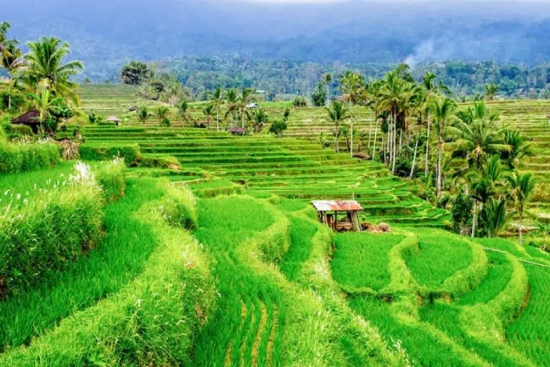 Tour Bali I Tour du lịch Bali - Thiên đường biển đảo 4 Ngày 3 Đêm