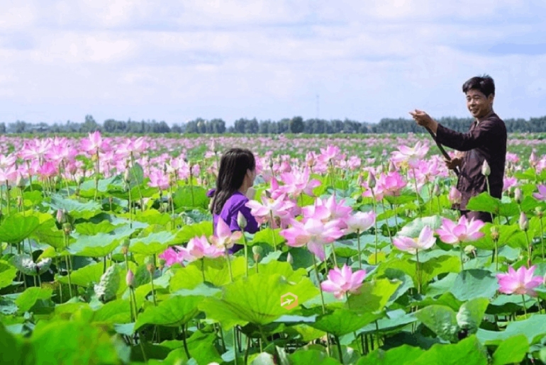 Tour Học Sinh - KDL Gáo Giồng - Lăng Cụ Phó Bảng 1 Ngày