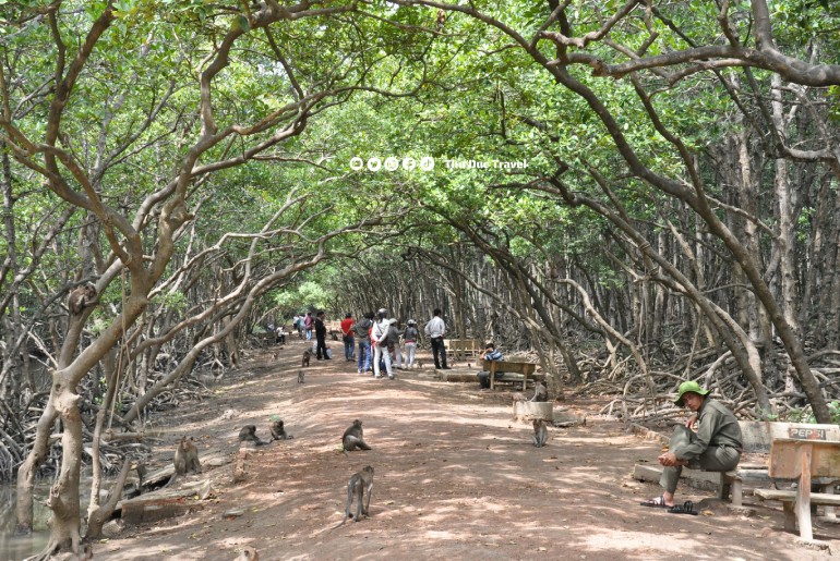 Du lịch Cần Giờ I Tour du lịch Cần Giờ - Căn Cứ Rừng Sát 2 Ngày 1 Đêm