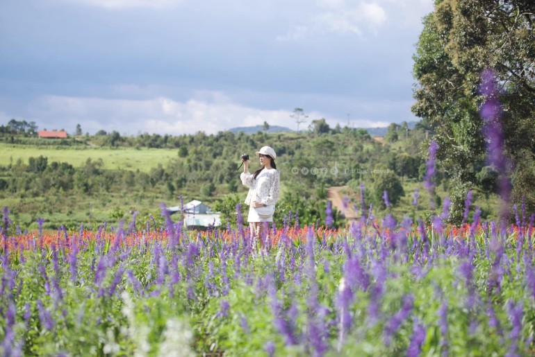 Tour Du lịch Măng Đen - Gia Lai - Buôn Mê Thuột 3 Ngày 3 Đêm