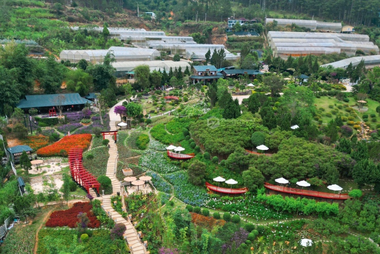 Tour Samten Hill Đà Lạt – Chuồn Chuồn 3 Ngày 3 Đêm - Khởi hành Thứ 5