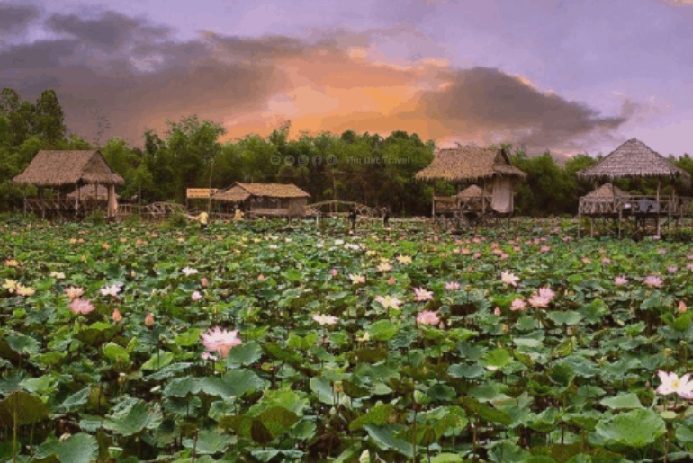 Du lịch Đồng Tháp - Cẩm nang du lịch Đồng Tháp từ A - Z