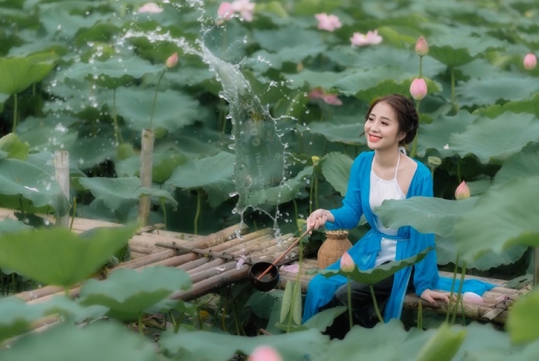 Ghé thăm Đồng Sen Tháp Mười - Nét đẹp không thể bỏ lỡ