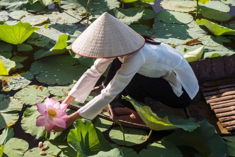 Bỏ túi những điều cần lưu ý khi du lịch Đồng Tháp