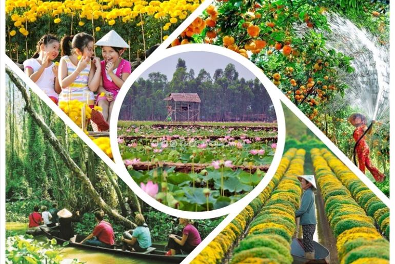 Thời gian lý tưởng để du lịch Đồng Tháp – Đi mùa nào cũng có điều đáng nhớ