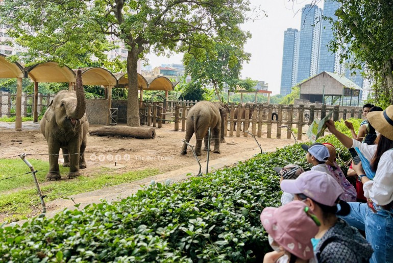 Tour Học Sinh - Thảo Cầm Viên - Đền Vua Hùng - Bảo Tàng Thực Vật